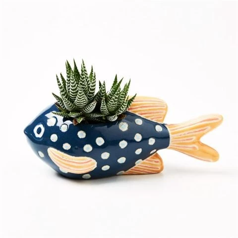 Jones & Co - Bubbles Planter