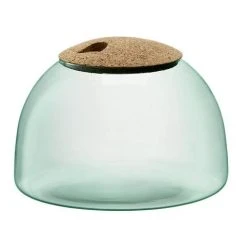 LSA - Canopy Closed Garden 16cm