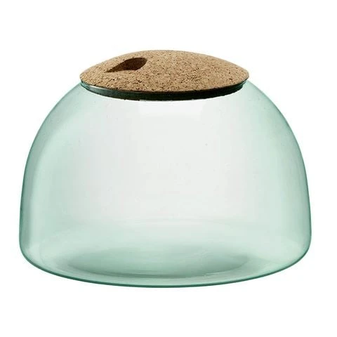 LSA - Canopy Closed Garden 16cm